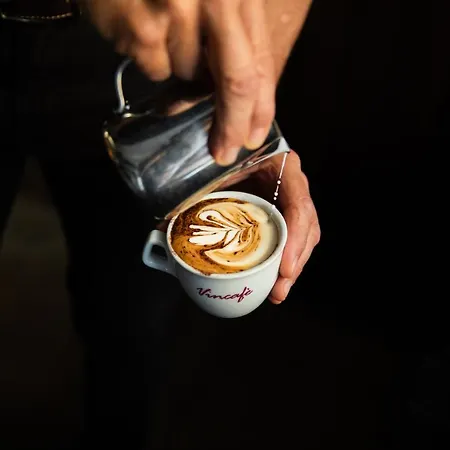 Vincafè Maison d'hôtes Alba (Piedmont)