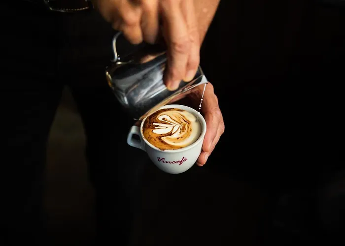 Vincafe Pensjonat Alba (Piedmont)